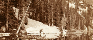 National Park Service Centennial