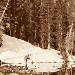 National Park Service Centennial