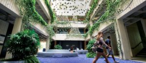 Florida International Univeristy College of Law